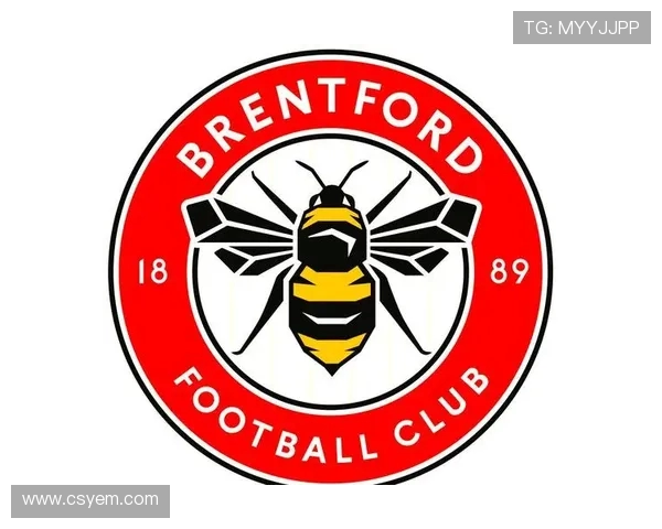 英超球队标志及其含义 英超球队标志及其含义