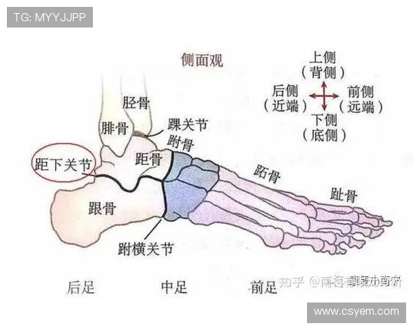 运动医学视角:专业足球鞋垫的生物力学设计突破 运动医学视角:专业足球鞋垫的生物力学设计突破