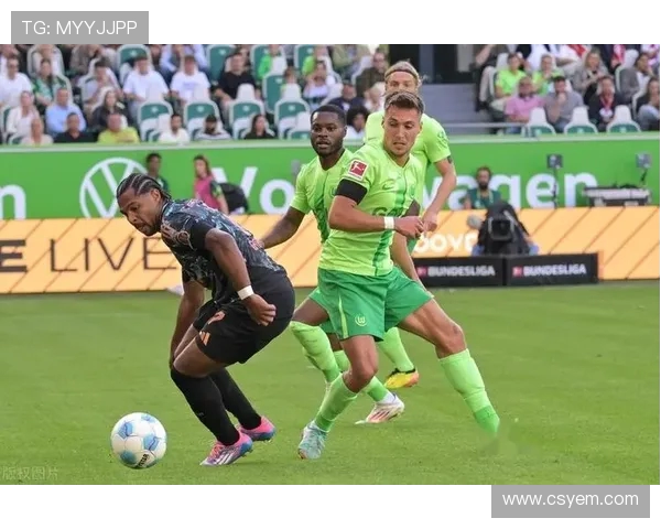 德甲球队俗称什么球队：德甲球队的别名与文化背景