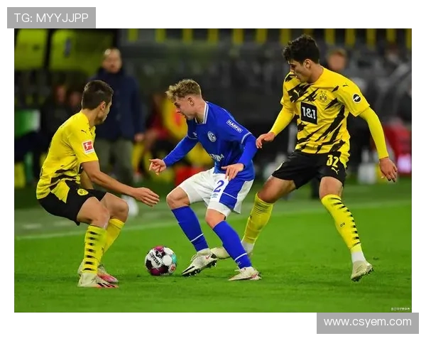 法甲外援战术适应情况的研究及其对比赛表现的影响