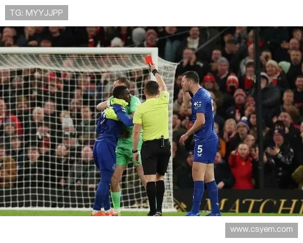 英超历史上球员互殴事件盘点及处罚结果