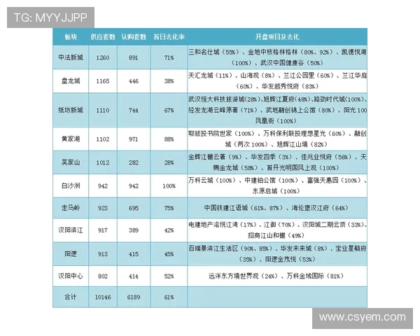 武汉三镇新赛季票价公布单场票价50元至260元套票价格799元至2499元